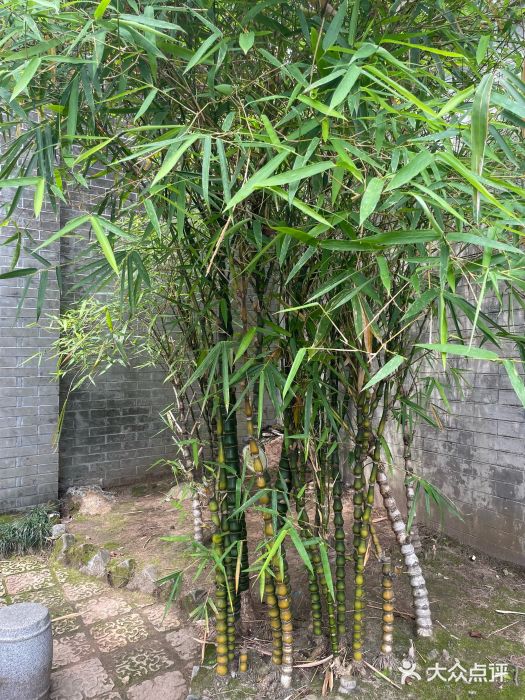 东莞市可园博物馆图片