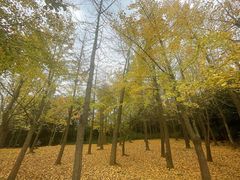 -渤公岛生态公园