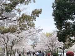 -尚湖风景区