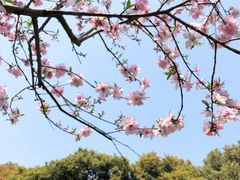 -复旦大学光华楼