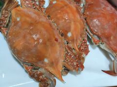 -云南巷海鲜大咖·可加工海鲜
