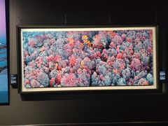 -罗红摄影艺术馆