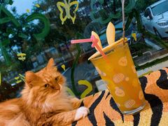 -平行世界·猫咖(首经贸店)