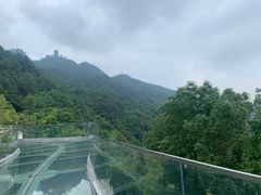 -缙云山景区