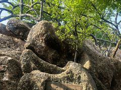 -幕燕滨江·燕子矶公园