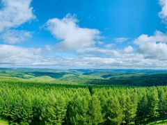 -塞罕坝国家级自然保护区