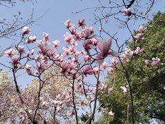 -玄武湖景区-情侣园游乐场