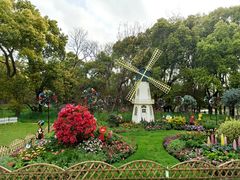 -上海共青森林公园