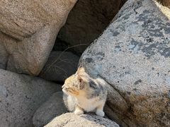 -崂山巨峰游览区