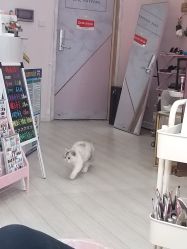 -Beauty Nails 美甲美睫皮肤管理
