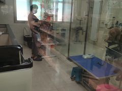 -乐琪宠物(青塔西路店)