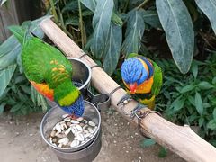 -南宫五洲植物乐园