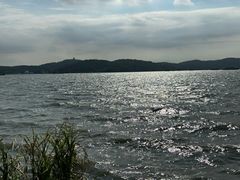 -上海市保健医疗中心