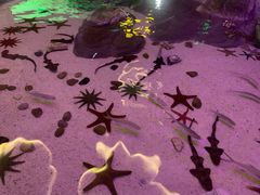 -福州罗源湾海洋世界旅游区