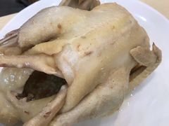 貞味盐焗鸡-贞味盐焗鸡(老城店)