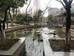 -石家饭店中市店