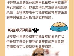 -艾贝尔宠物医院 ·中兽医·宠保定点(北门桥店)