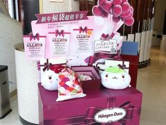 -哈根达斯(扬州瘦西湖店)
