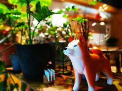 -柴务处·柴犬主题狗咖