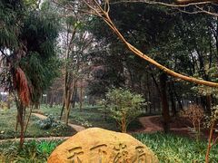 -峨眉山报国寺