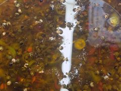 -徐妹串串香(春熙路店)