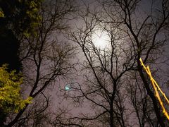 -元大都城垣遗址公园