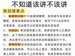-樟宜机场免税店