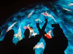 -鸡鸣山旅游景区