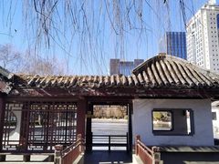 -团结湖公园