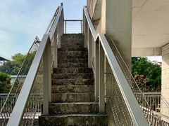 -广东紫坭糖厂(桥头路)
