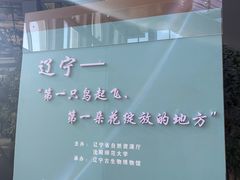 -辽宁古生物博物馆
