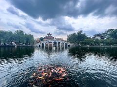 -宝墨园景区