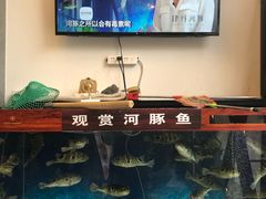 -肆月河豚·新淮扬(金融街店)