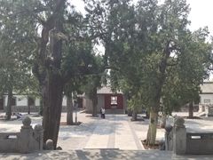 -华山风景区-华阳宫