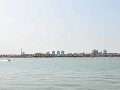 -碧海金沙