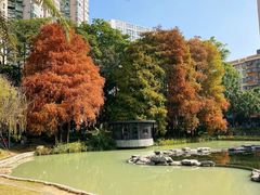 -四海公园(南山区)