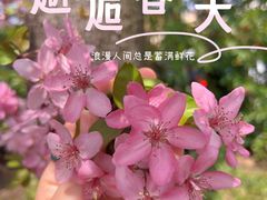 -莫愁湖公园