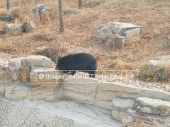 -太原动物园