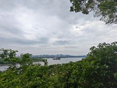 -苏州上方山国家森林公园