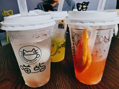 -喵屿·大理花园猫咖