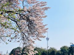 -红星桥(地铁站)