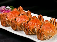 -比亚森自助烤肉料理(裕华店)