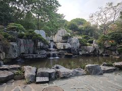 -东莞植物园