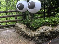 -杭州长乔极地海洋公园