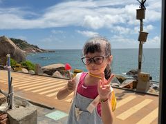 -广东惠东海龟国家级自然保护区