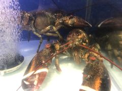 -利客来李村购物中心