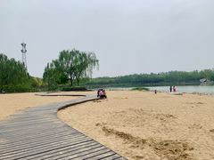 -大兴滨河森林公园