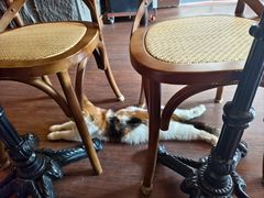 -猫岛主趣味餐厅(鼓浪屿店)