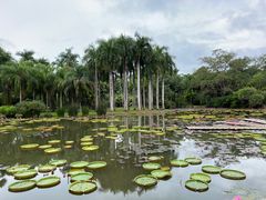 -中国科学院西双版纳热带植物园