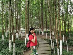 -桤木河湿地公园